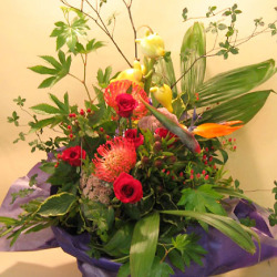 コンサート花 お祝い花　ピンクッションとフォックスフェイスのアレンジメント 二子玉川の花屋