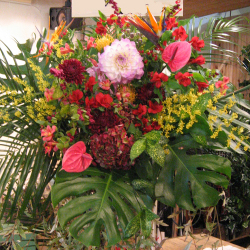 舞台 スタンド花　黒パイプの２段スタンド　二子玉川の花屋　ネイティブフラワーイーダ 