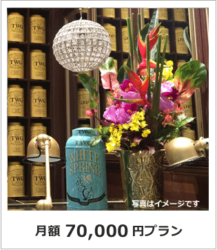 オフィス　店舗　生け込み花　生花アレンジ　レンタルフラワー　東京　70000円プラン