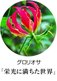 東京に贈るスタンド花　グロリオサ　花言葉は栄光に満ちた世界
