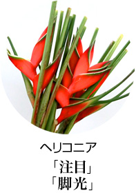 東京に贈るスタンド花　ヘリコニア　花言葉は王者の注目、脚光