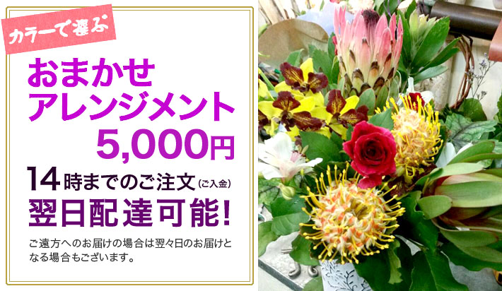 お祝い花　おまかせアレンジメント5000　東京二子玉川の花屋　ネイティブフラワーイーダ