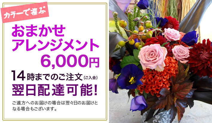 お祝い花　おまかせアレンジメント6000　東京二子玉川の花屋　ネイティブフラワーイーダ