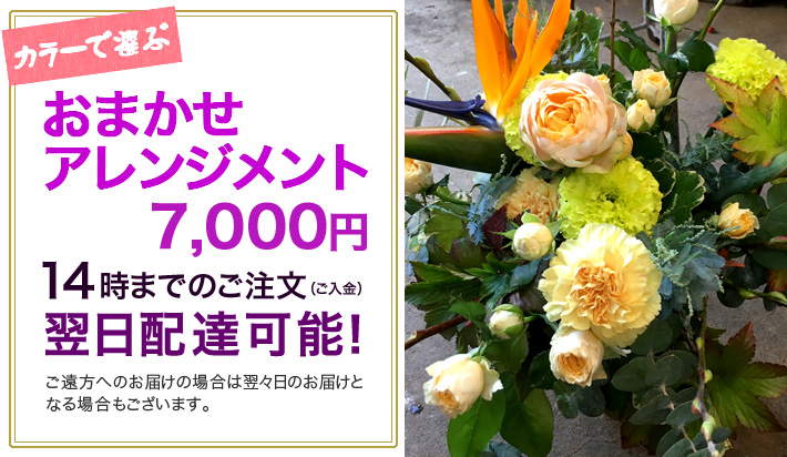 お祝い花　おまかせアレンジメント7000　東京二子玉川の花屋　ネイティブフラワーイーダ