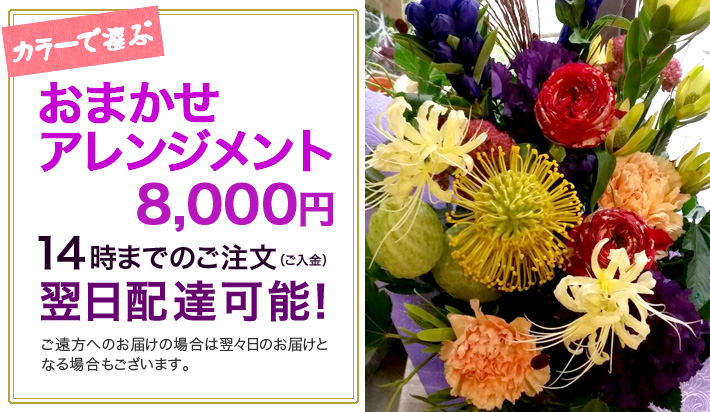 お祝い花　おまかせアレンジメント9000　東京二子玉川の花屋　ネイティブフラワーイーダ