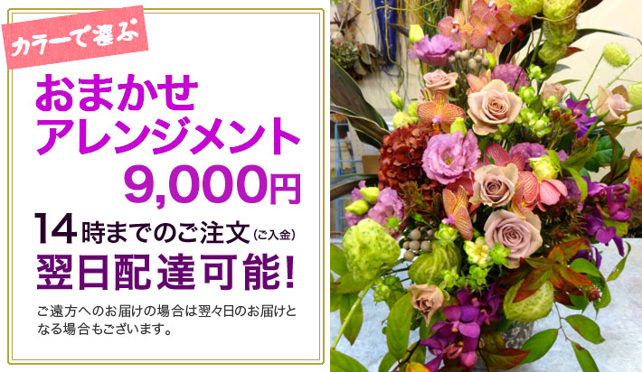 お祝い花　おまかせアレンジメント9000　東京二子玉川の花屋　ネイティブフラワーイーダ