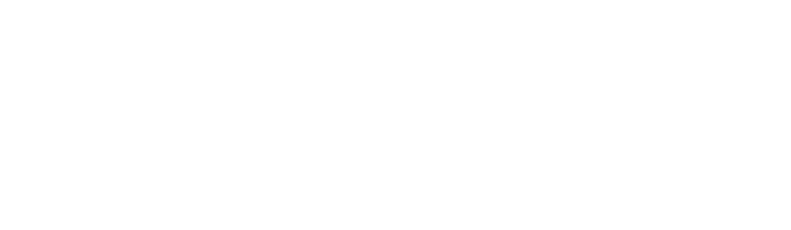 開店祝い　周年記念祝いに贈る胡蝶蘭