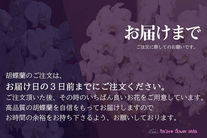 開店祝い、周年記念祝いに贈る胡蝶蘭　東京、名古屋、大阪、福岡へ直接お届けいたします