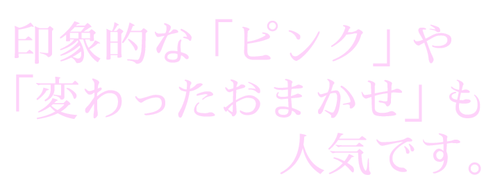 お祝い花　胡蝶蘭　フラワーギフト