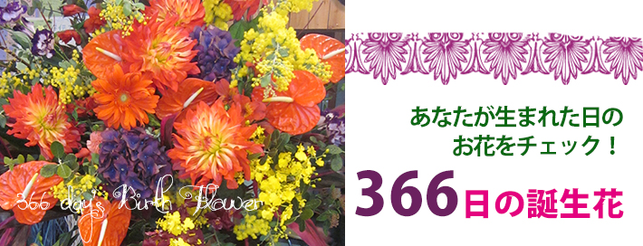 366日の誕生花 二子玉川の花屋 ネイティブフラワーイーダ