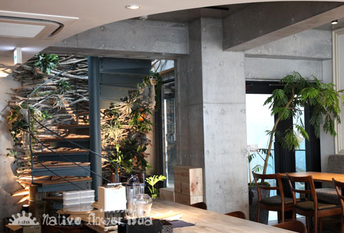 レストラン、カフェのインテリアグリーン　オブジェ制作　内装ディスプレイグリーン