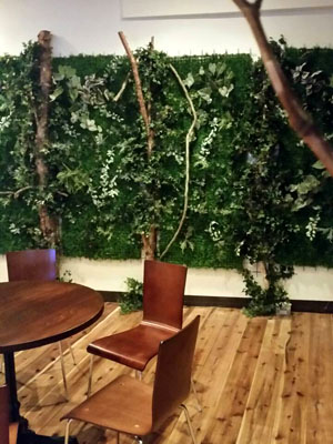 レストラン　カフェ　インテリアグリーン　内装ディスプレイグリーン