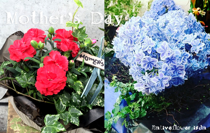 母の日に贈る花　寄せ植え　カーネーション