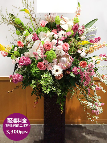 レストラン開店祝いの花 高さ150cm以上のスタンド花一番人気のお祝い花　ネイティブフラワー　プロテアを使ったダイナミックでおしゃれなスタンド花