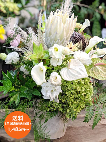 開店祝いの花 そのままおける大きめアレンジメント　人気のお祝い花　ネイティブフラワー　プロテアを使ったダイナミックでおしゃれなお祝い花