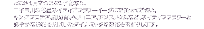 とにかく目立つスタンド花なら、二子玉川の花屋ネイティブフラワーイーダにお任せ下さい。<br>
キングプロテア、胡蝶蘭、ダリア、バンクシアなど、ネイティブフラワーと鮮やかなお花をアレンジしたダイナミックなお花をお作りします。<br>
お届け日より3日前までにご注文下さい。