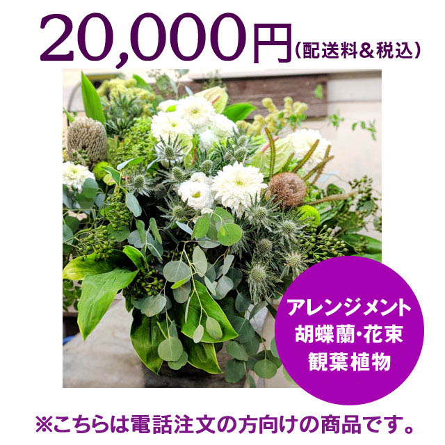 ʸ20,000