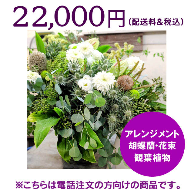 ʸ22,000