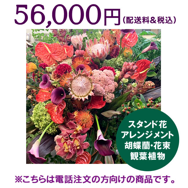 ʸ56,000