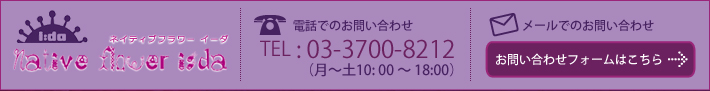 TEL : 03-3700-8212ʷ10: 00  18:00˥᡼ǤΤ䤤碌Ϥ風󥿡ͥåʸ24ּ ڤˤ̤