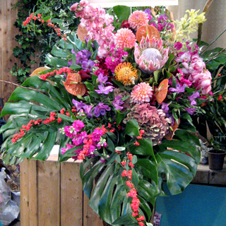 渋谷の開店祝いに贈る 華やかさと色で勝負　スタンド花・アバンチュール