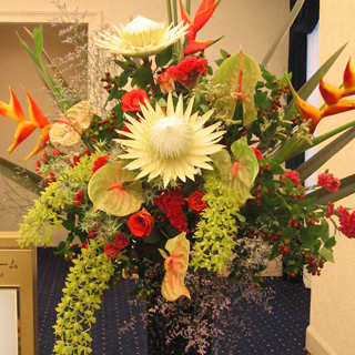 渋谷のクラブに贈る開店祝い・周年祝い スタンド花・ヘルコニアとグラマト