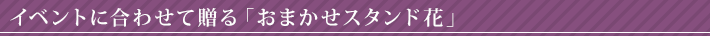 ¤Υ饤֥ϥ£ Ź˹碌£֤ޤɲ֡