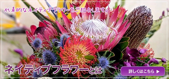 ネイティブフラワーとは　東京　二子玉川の花屋