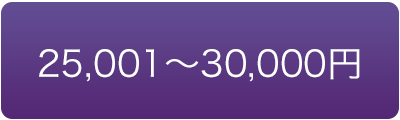価格で選ぶ　25000円