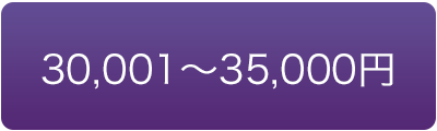 価格で選ぶ　30000円