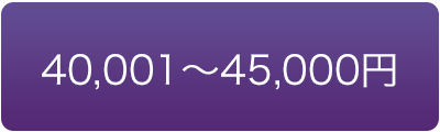 価格で選ぶ　40000円