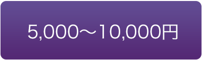 価格で選ぶ　5000円
