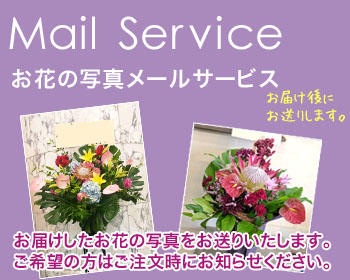 ネイティブフラワーイーダ　こだわりサービス