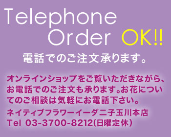ネイティブフラワーイーダ　こだわりサービス