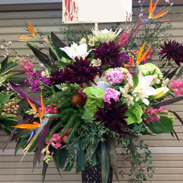 開店祝いスタンド花　お祝いスタンド花 ブラッシュバード　二子玉川の花屋　ネイティブフラワーイーダ 