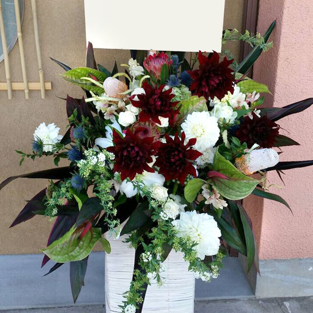 お祝いスタンド花 紅白ダリア　二子玉川の花屋　ネイティブフラワーイーダ 