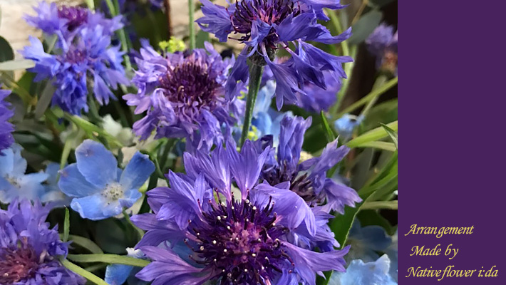 二子玉川の花屋ネイティブフラワーイーダ　古希　喜寿アレンジメント　アレンジメント　