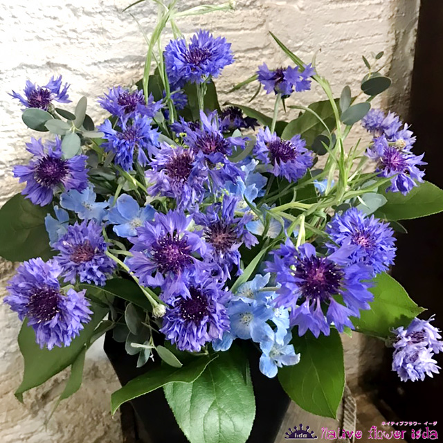 古希祝い７０歳のアレンジメント　紫のお祝い花