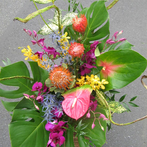 開店祝いの花 アレンジメント 東京二子玉川の花屋 ネイティブフラワーイーダ どこよりも目立つお祝い花をお届けします