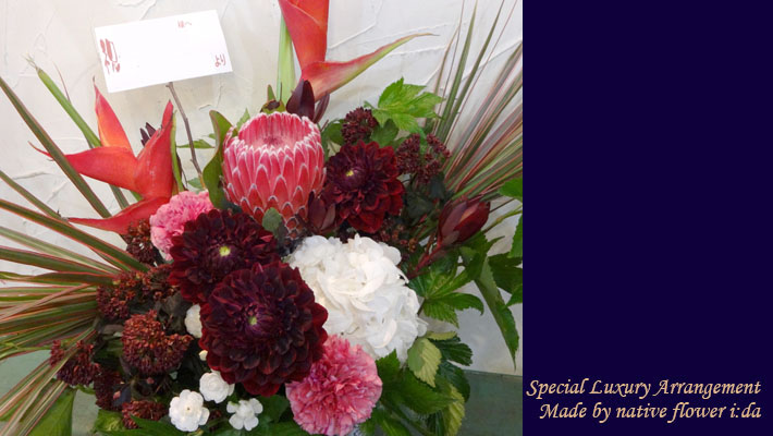 ヘリコニア　プロテア　アレンジメント　お祝い花