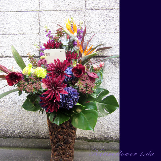渋谷の開店祝いに贈る花・周年祝い パープルバーガンディー