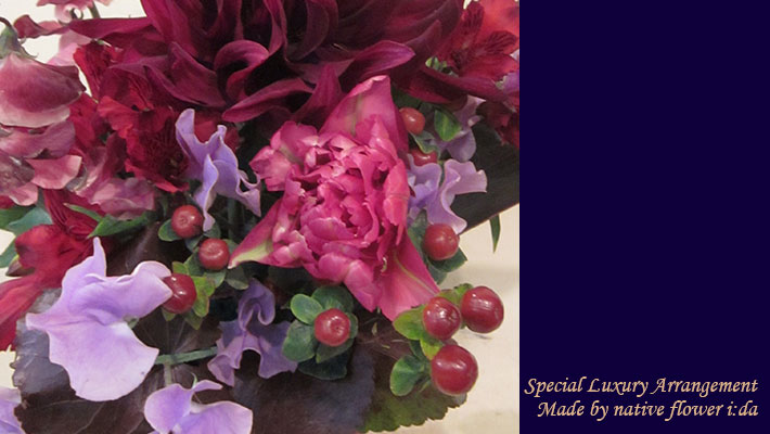 楽屋花 開店祝い ダリアダリア