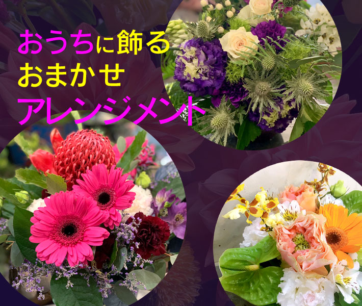 おうちに飾る季節のお花 二子玉川の花屋ネイティブフラワーイーダ