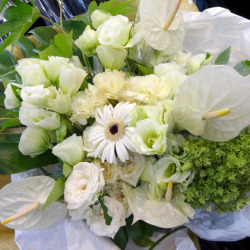 千代田区に贈る花束 ホワイトガーデン 二子玉川の花屋 ネイティブフラワーイーダ