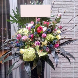 歌舞伎町に贈る お祝いスタンド花　ブラックシードル