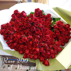 赤バラ200本の花束 