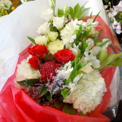 千代田区に贈る花束 レッドシンシア 二子玉川の花屋