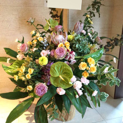 銀座のオフィス・企業に贈る開店祝い・周年祝い花 ワイルドレディ　生花アレンジメント