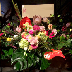 渋谷区に贈るスタンド花 胡蝶蘭と赤ダリア