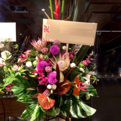 歌舞伎町に贈るお祝いスタンド花　シャイニー